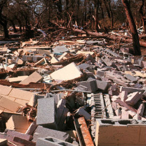 Debris Removal Services in Paris, Texas