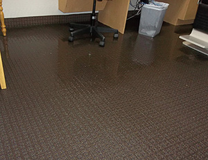 Carpet Water Damage Restoration Services in Texas and Oklahoma